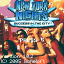 New York Nights: Success in the City �